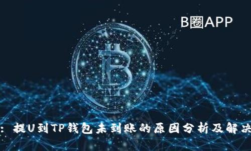 标题: 提U到TP钱包未到账的原因分析及解决方案