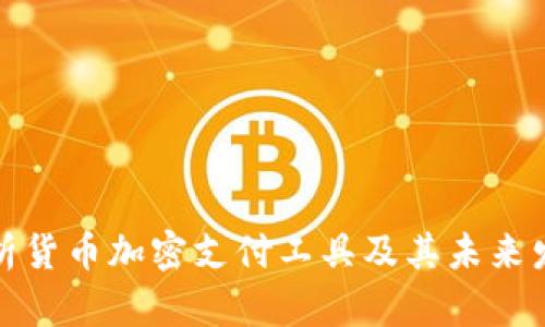 全面解析货币加密支付工具及其未来发展趋势