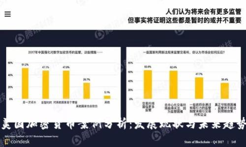 美国加密货币案例分析：发展现状与未来趋势