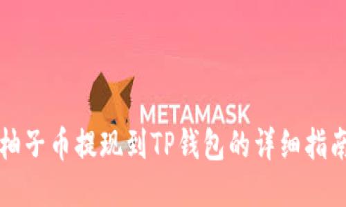 柚子币提现到TP钱包的详细指南