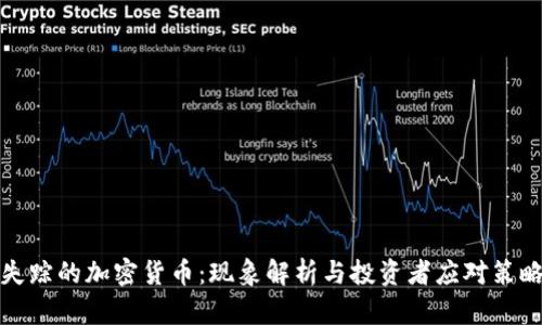 失踪的加密货币：现象解析与投资者应对策略