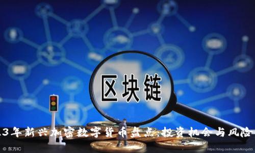 2023年新兴加密数字货币盘点：投资机会与风险解析