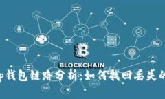 ### t p钱包链路分析：如何找回丢失的数字资产