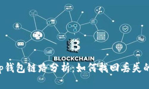 ### t p钱包链路分析:如何找回丢失的数字资产