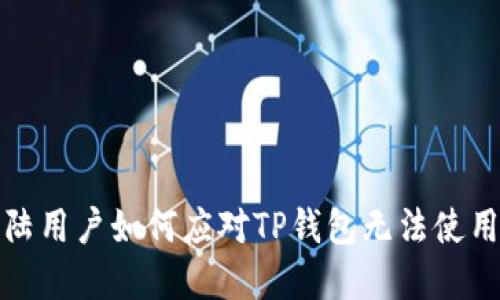 中国大陆用户如何应对TP钱包无法使用的困境
