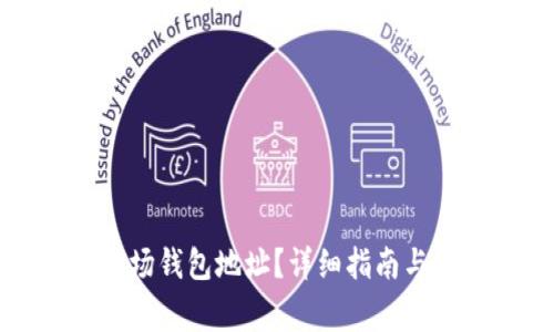如何找到TP波场钱包地址？详细指南与常见问题解答