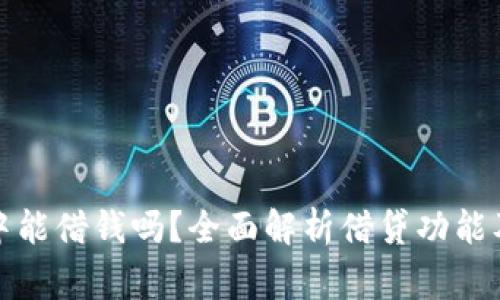 在TP钱包中能借钱吗？全面解析借贷功能及注意事项