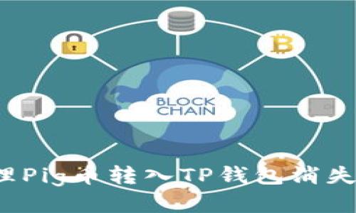如何处理Pig币转入TP钱包消失的问题？