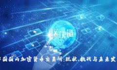 中国国内加密货币交易所：现状、挑战与未来发