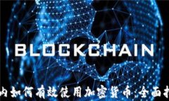 国内如何有效使用加密货币：全面指南