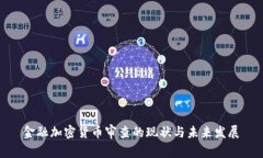 金融加密货币审查的现状与未来发展