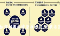 土耳其如何利用加密货币逃税：现状与影响分析