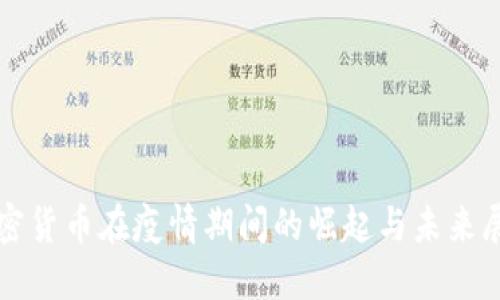 加密货币在疫情期间的崛起与未来展望