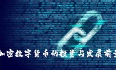中小加密数字货币的投资