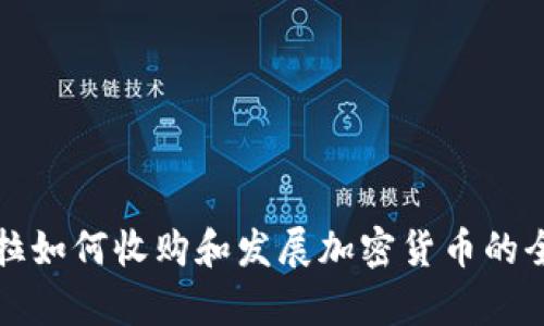 委内瑞拉如何收购和发展加密货币的全景分析