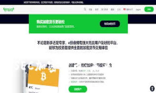 全面解析SSEC加密货币：未来的数字资产革命