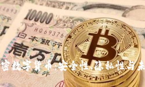 真正加密数字货币：安全性、隐私性与未来发展